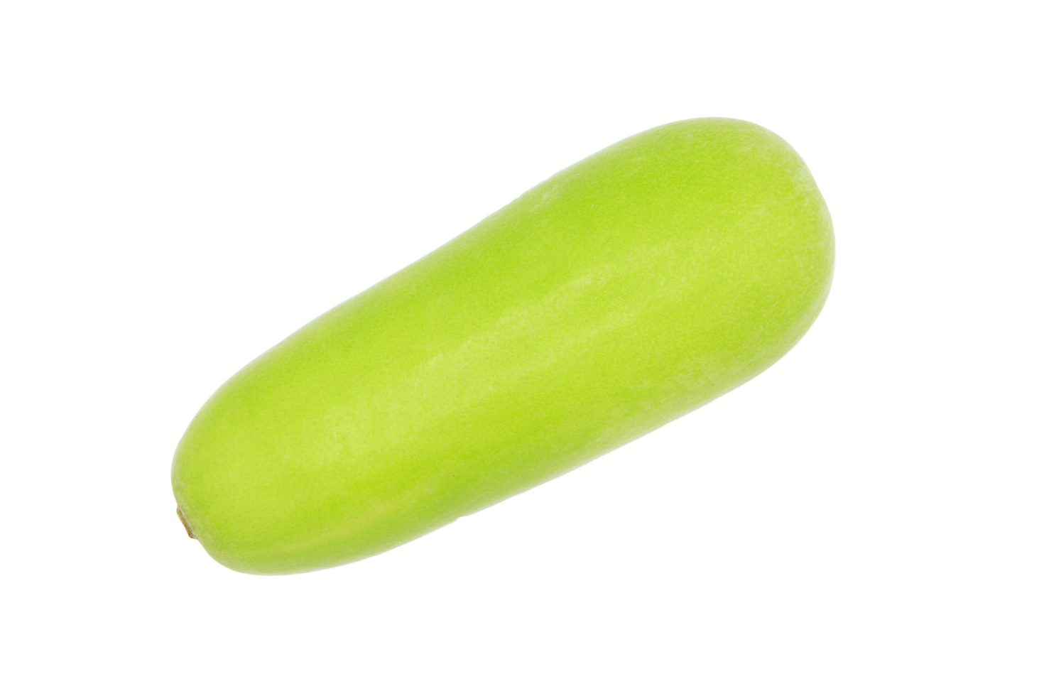 Fresh winter melon or wax gourd isolated on transparent background with clipping path or make selection. Big vegetable or green melon and Organic harvest of agriculture. png with transparency..