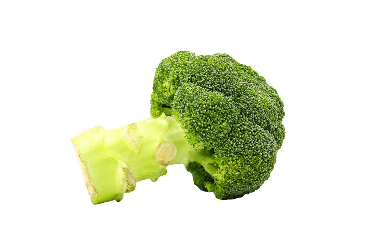 Fresh broccoli isolated on transparent background with clipping path or make selection. Freshness green vegetable, Healthy food for diet and Produce of agriculture. png transparency