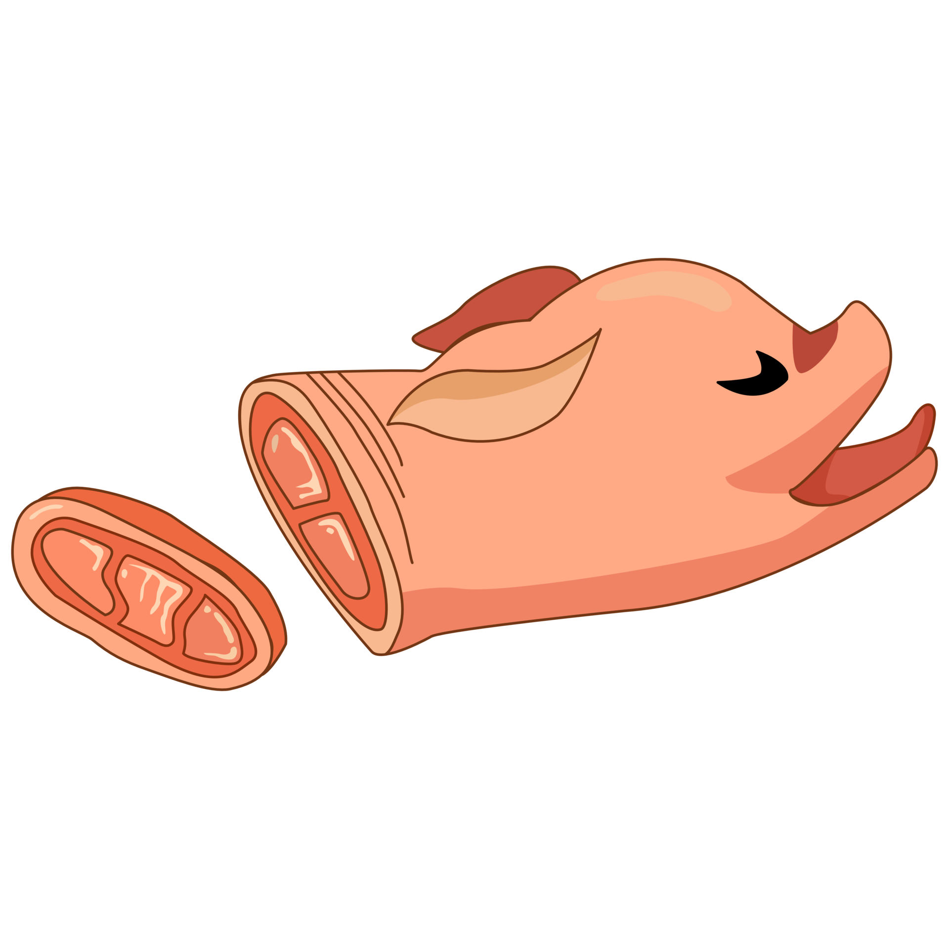 A Pig With Pork Meat Cut Raw Fresh Meaty Steak Cartoon Pork For 