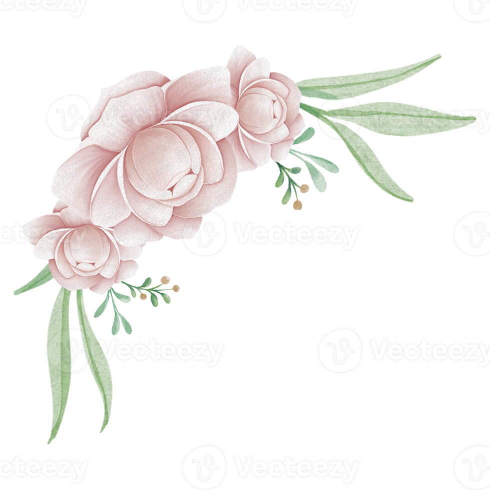 Peony Flowers Border png