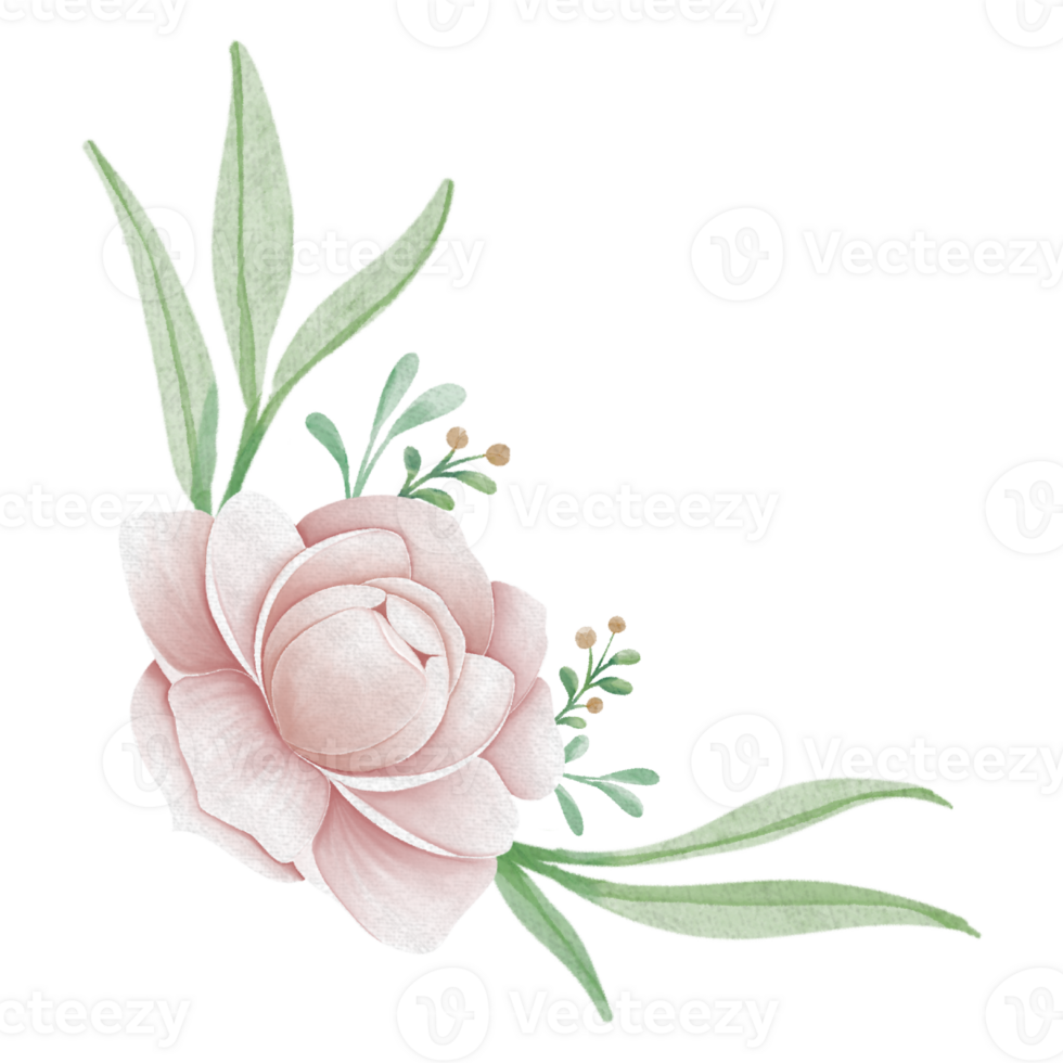 Peony Flower Bouquet png