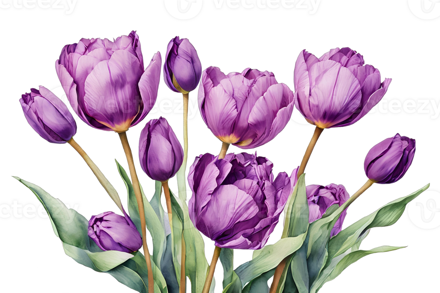Bouquet of purple tulips. Watercolor illustration. AI generative png