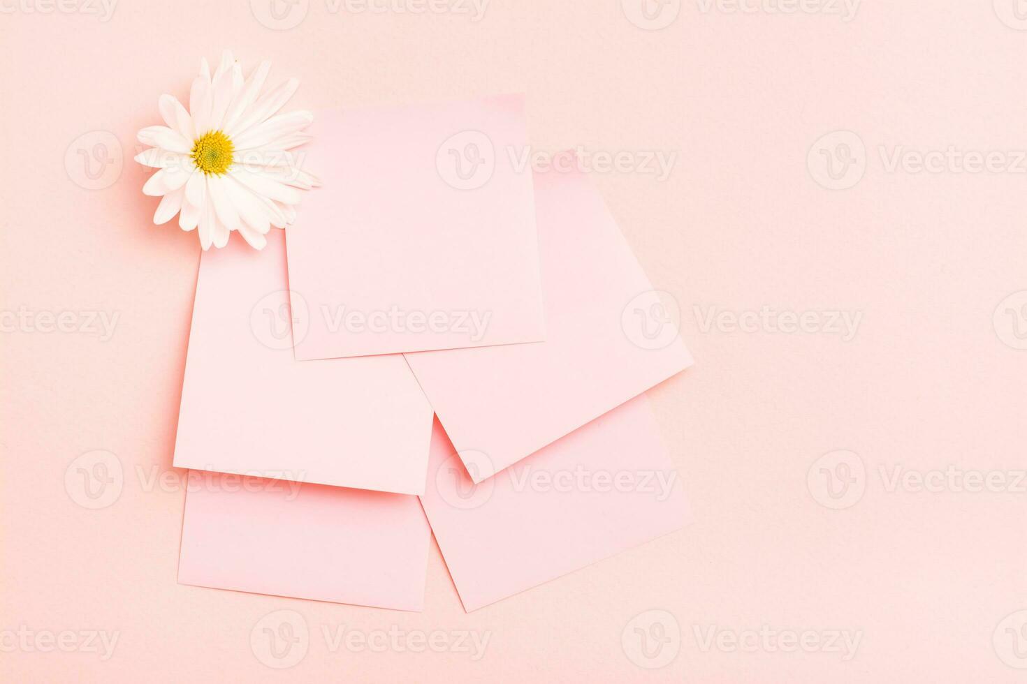The concept is pink. Blank square small writing sheets and chrysanthemum on a pink background. Top view photo
