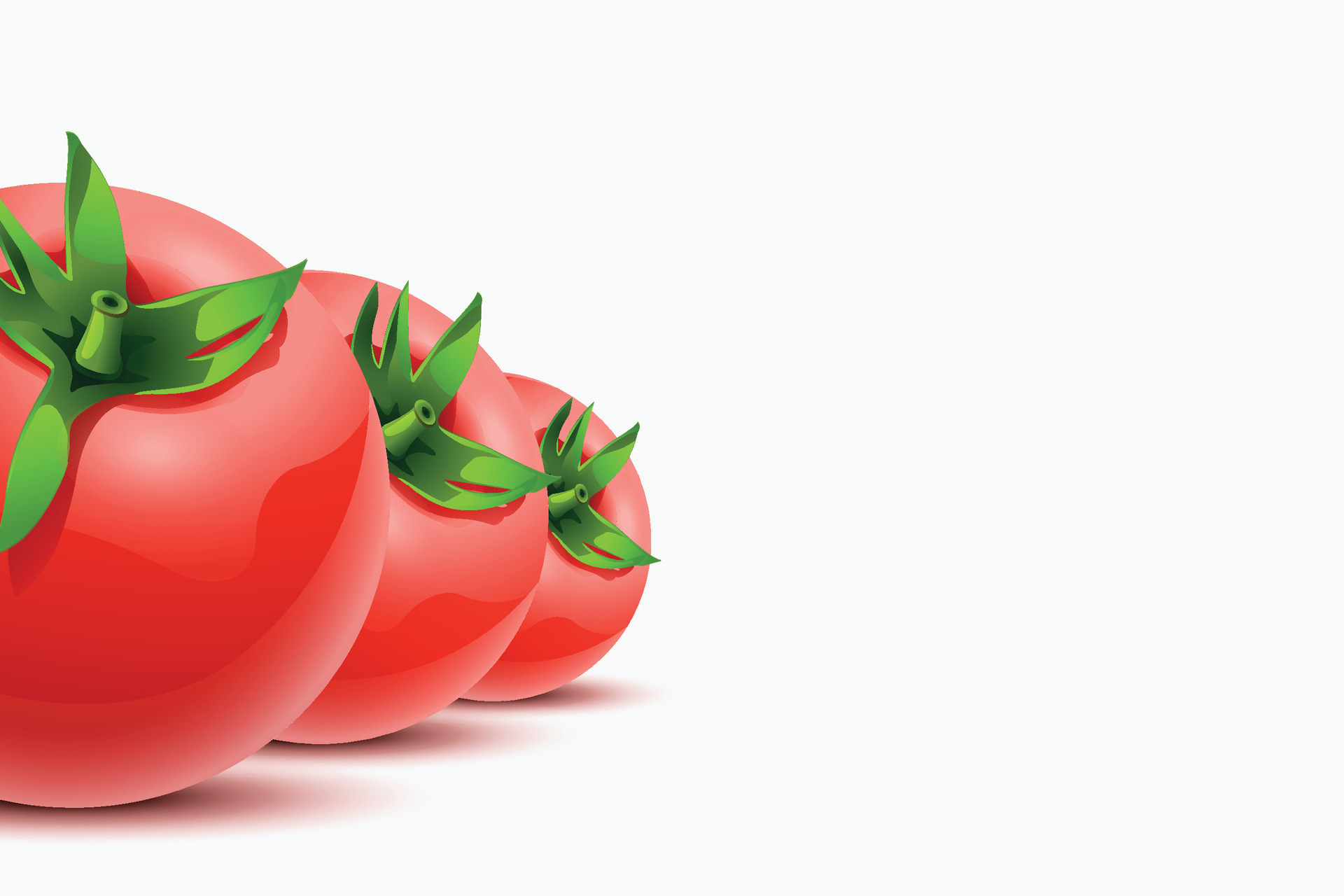 Tomatos At White Back 32058902 Vector Art At Vecteezy