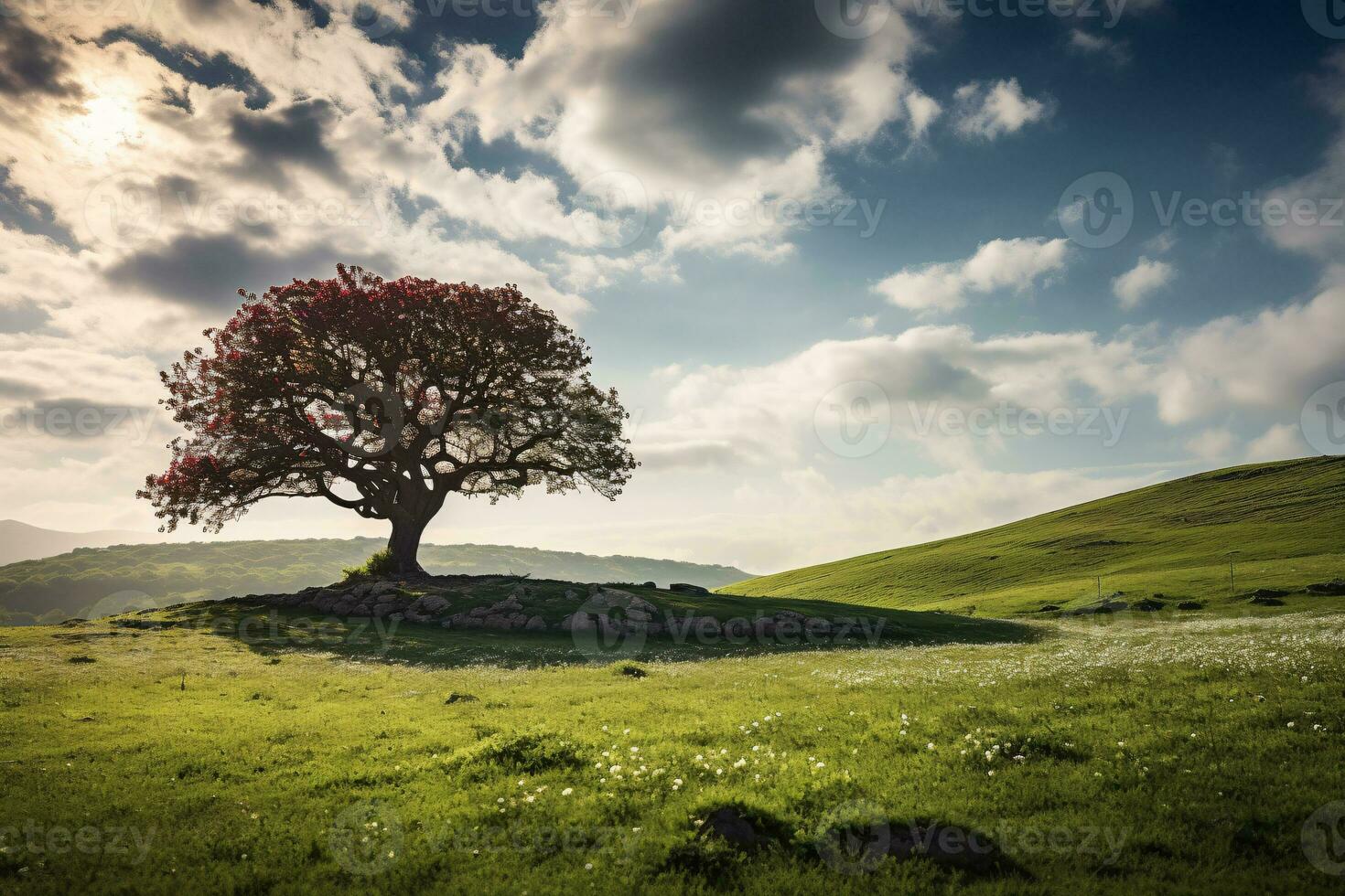 A huge tree with fresh green leaves on a  meadow and blooming flowers field with white clouds on blue sky. photo