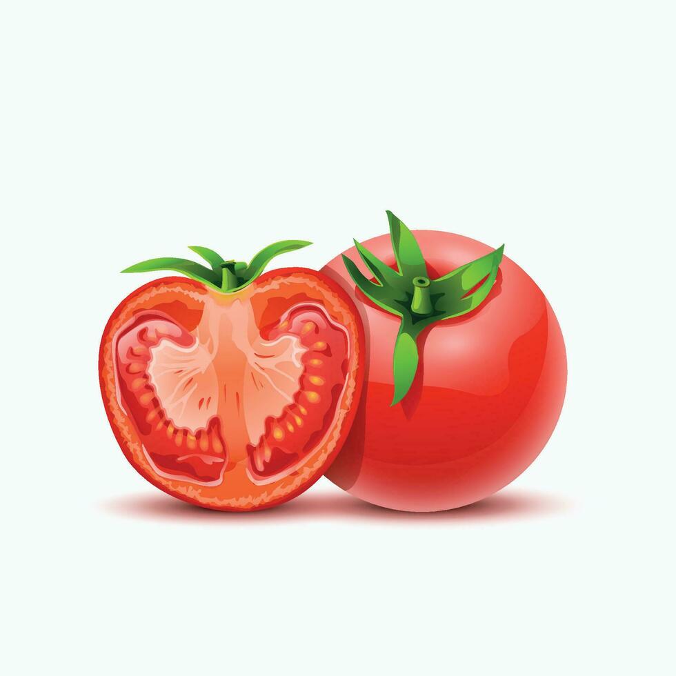 tomatos sliced on white vector