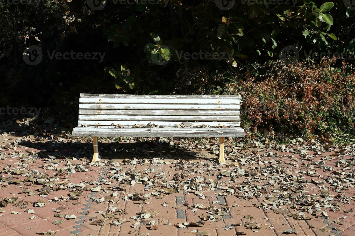 Bench for rest in a city park on the shores of the Mediterranean Sea. photo