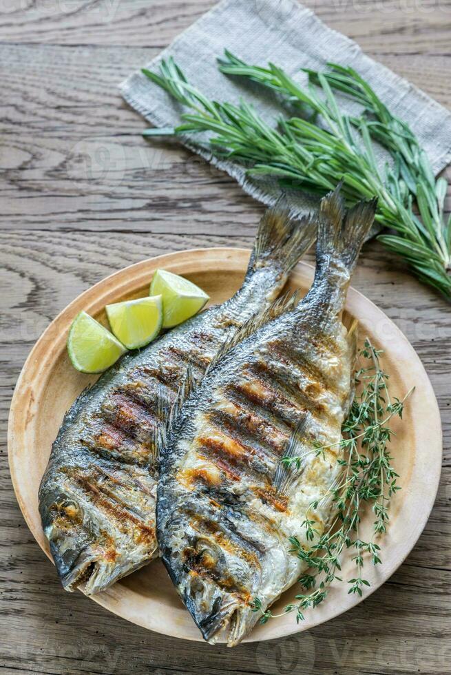 Grilled Dorade Royale Fish photo