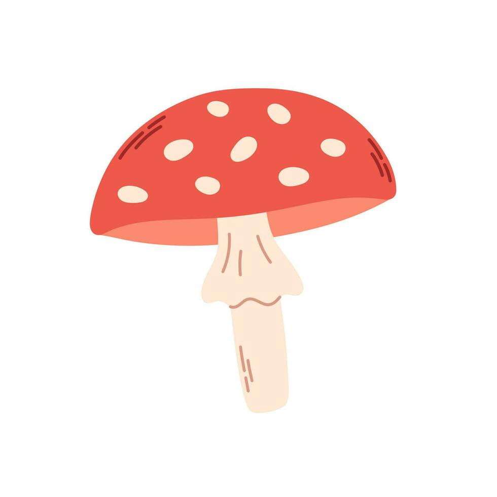 Fly agaric mushroom vector