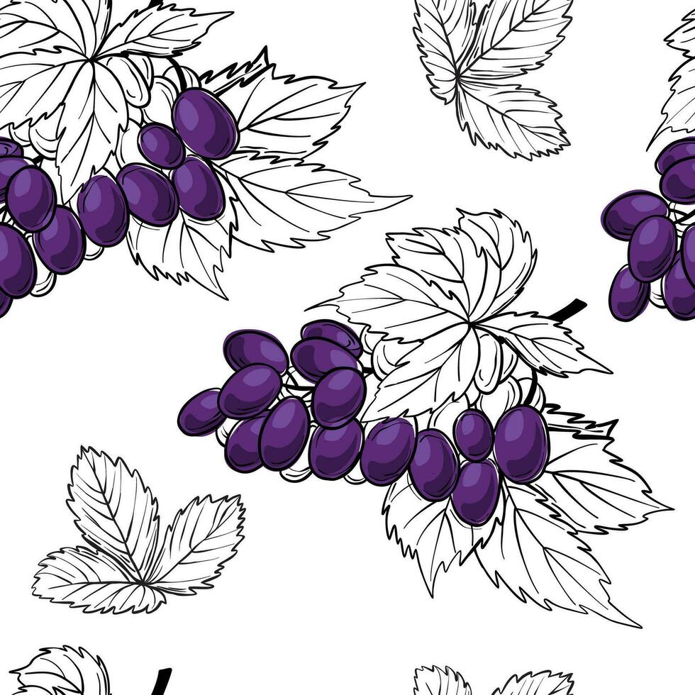 Grape seamless pattern. line drawing vector