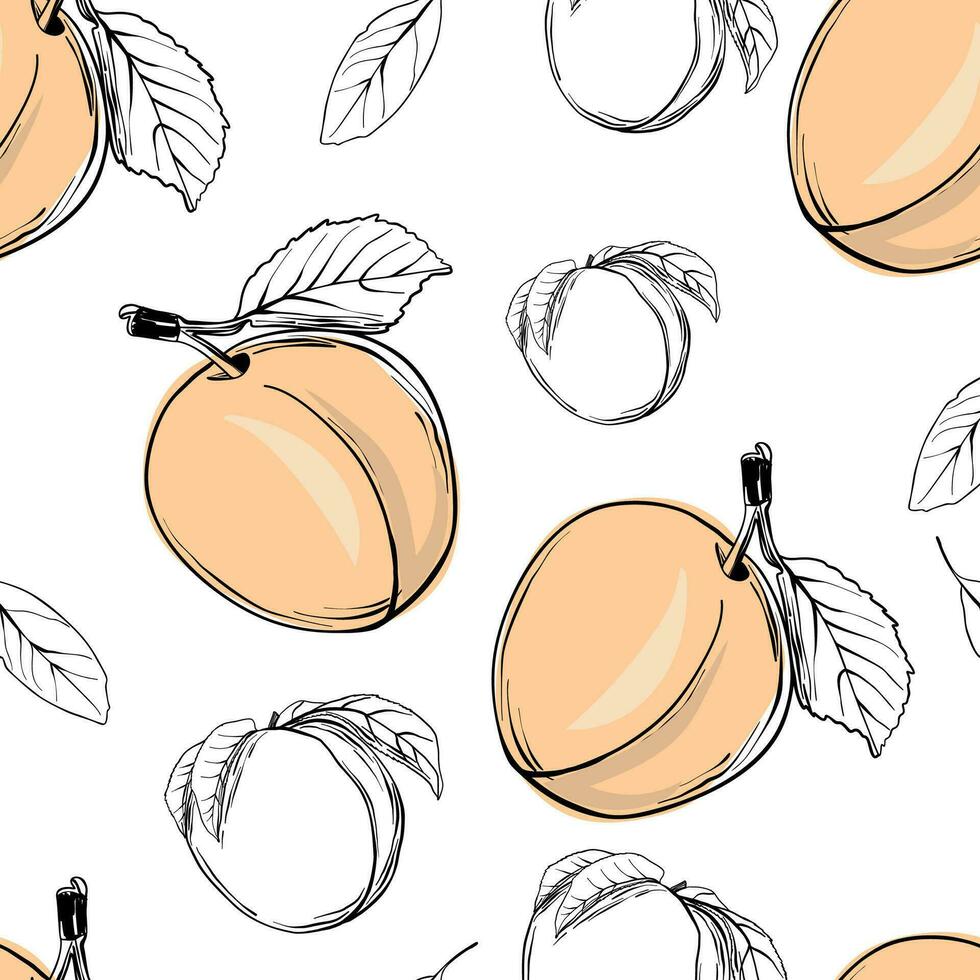 Peach seamless pattern. line drawing vector