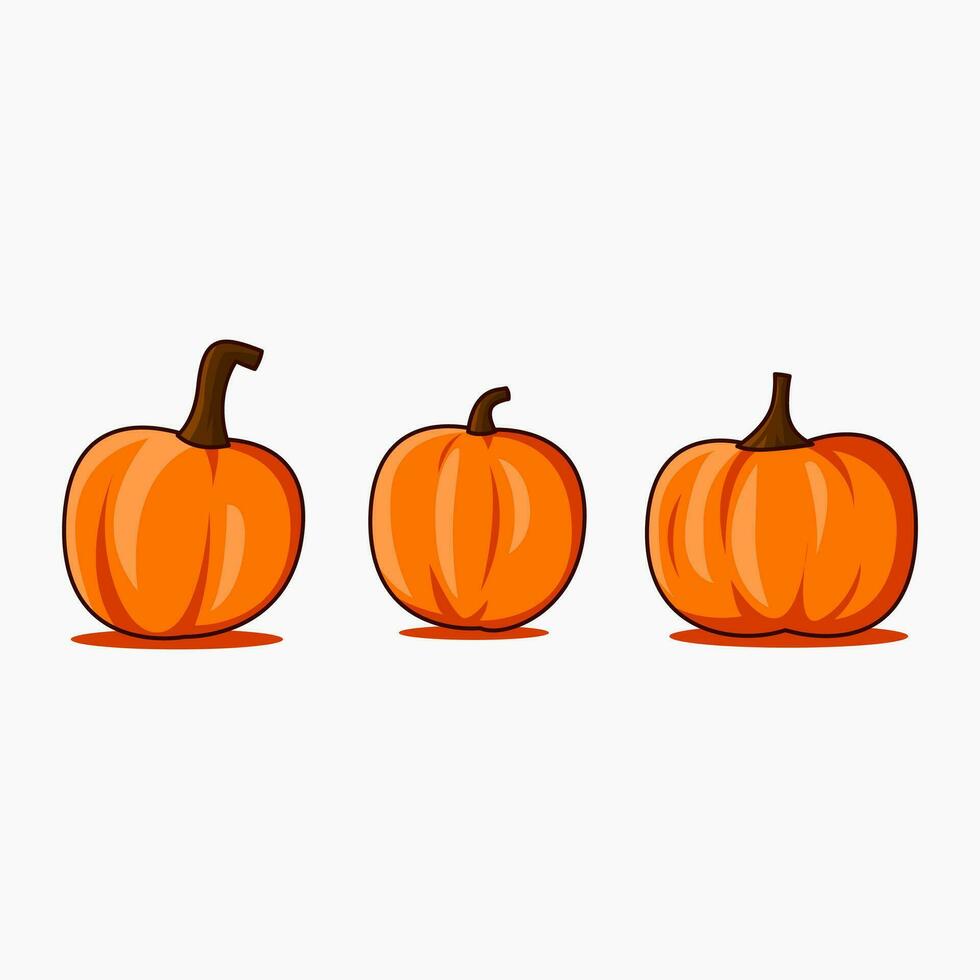 3 different shaped round pumkin flat design vector white background. Perfect for design merch, like t-shirts, hoodie, banner, bannie hat, caps, book, story book, etc.