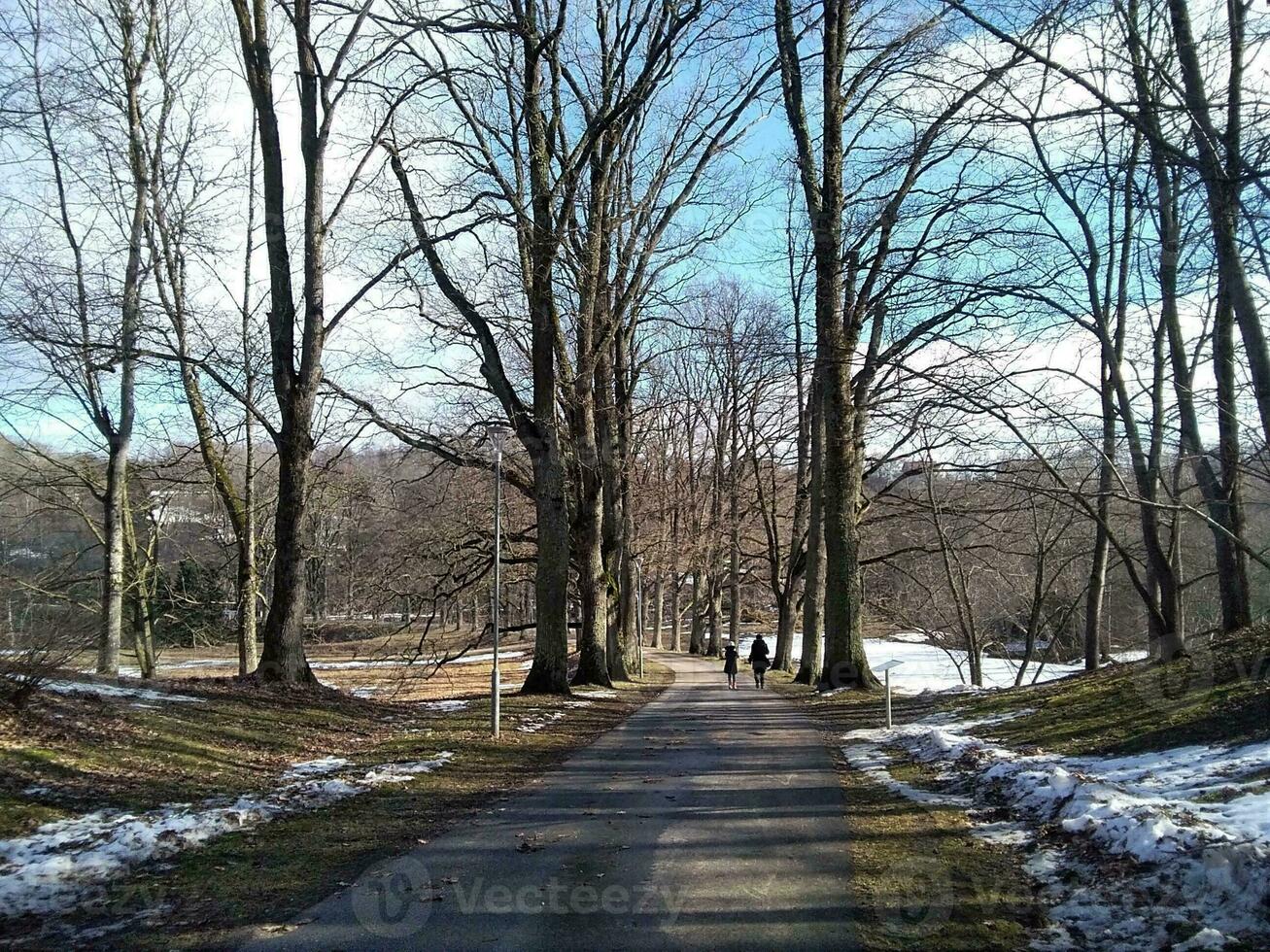 A small road among the trees on a bright sunny day of spring photo