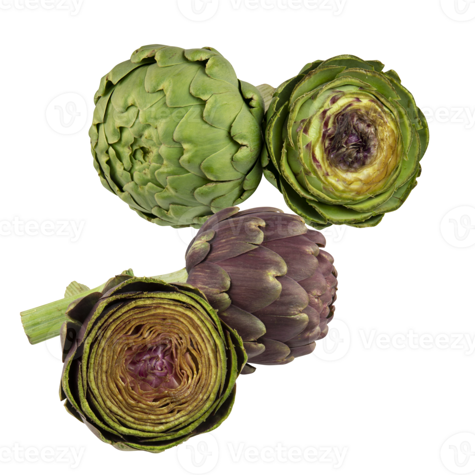 fresh artichoke cut out isolated transparent background png
