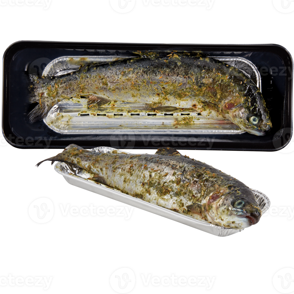 salmon in plastic plate cut out isolated transparent background png
