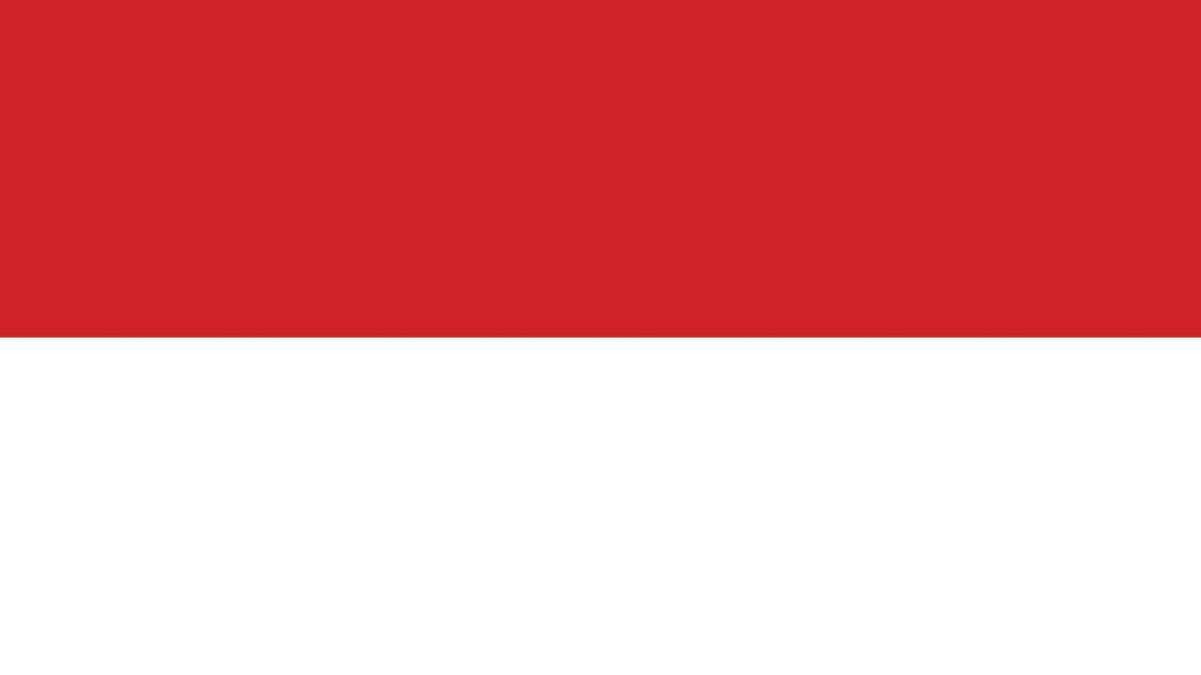 vector de bandera de indonesia