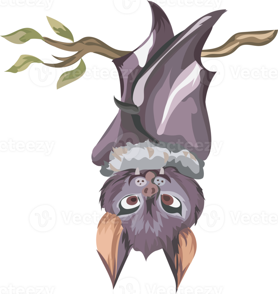 Halloween bat on transparent background. png
