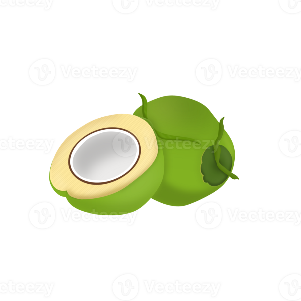 Noce di cocco fetta giovane png