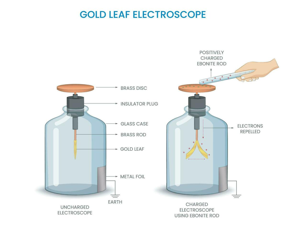 Gold leaf electroscope was Detects electric charge via leaf divergence, a common tool in electrostatics vector