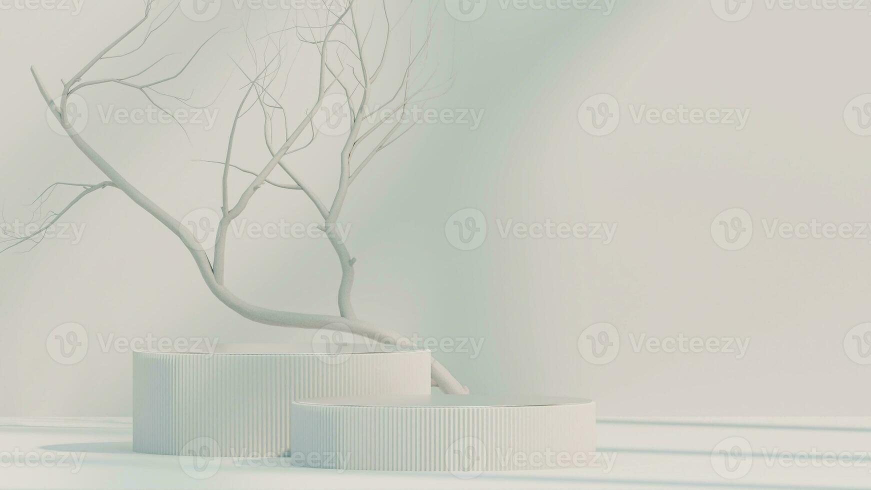 3d minimal white display podium with white dry tree, vintage frame against white background. 3d rendering of realistic presentation for product advertising. minimal illustration. photo