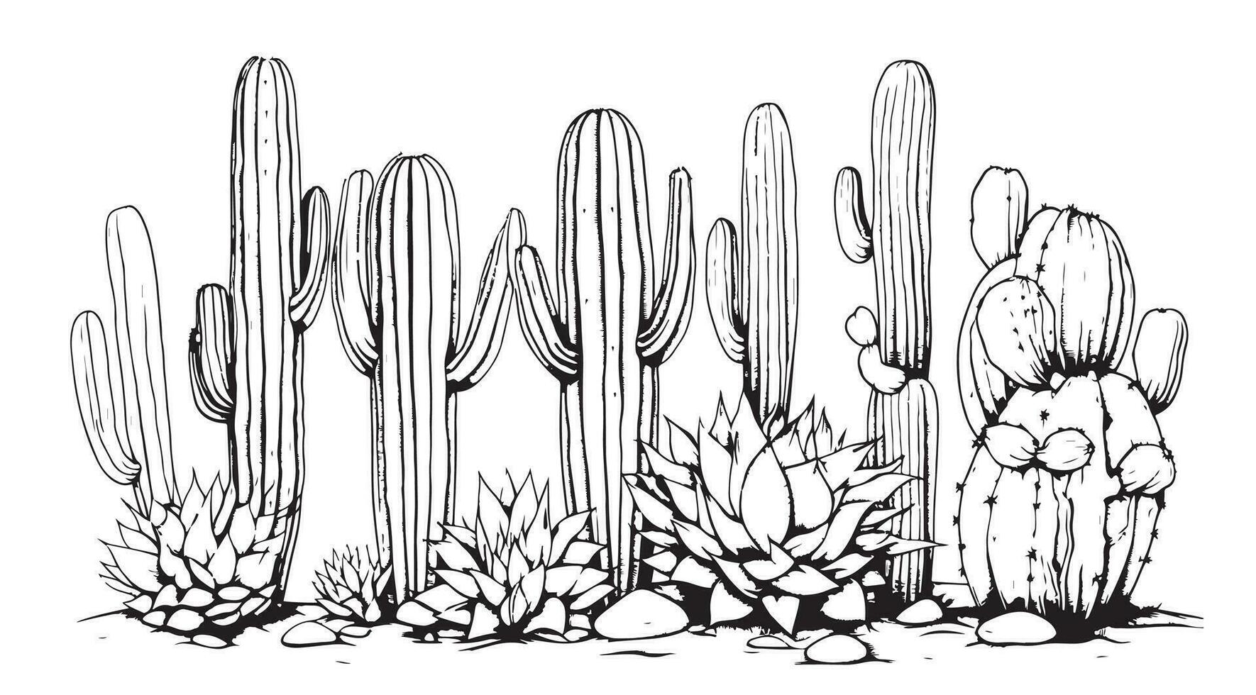 Set of cacti sketch hand drawn Vector illustration