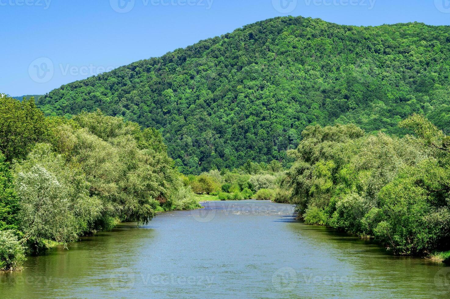 swift mountain river against the backdrop of a large mountain. View of the water in the mountain valley. Beautiful landscape. Carpathians. photo