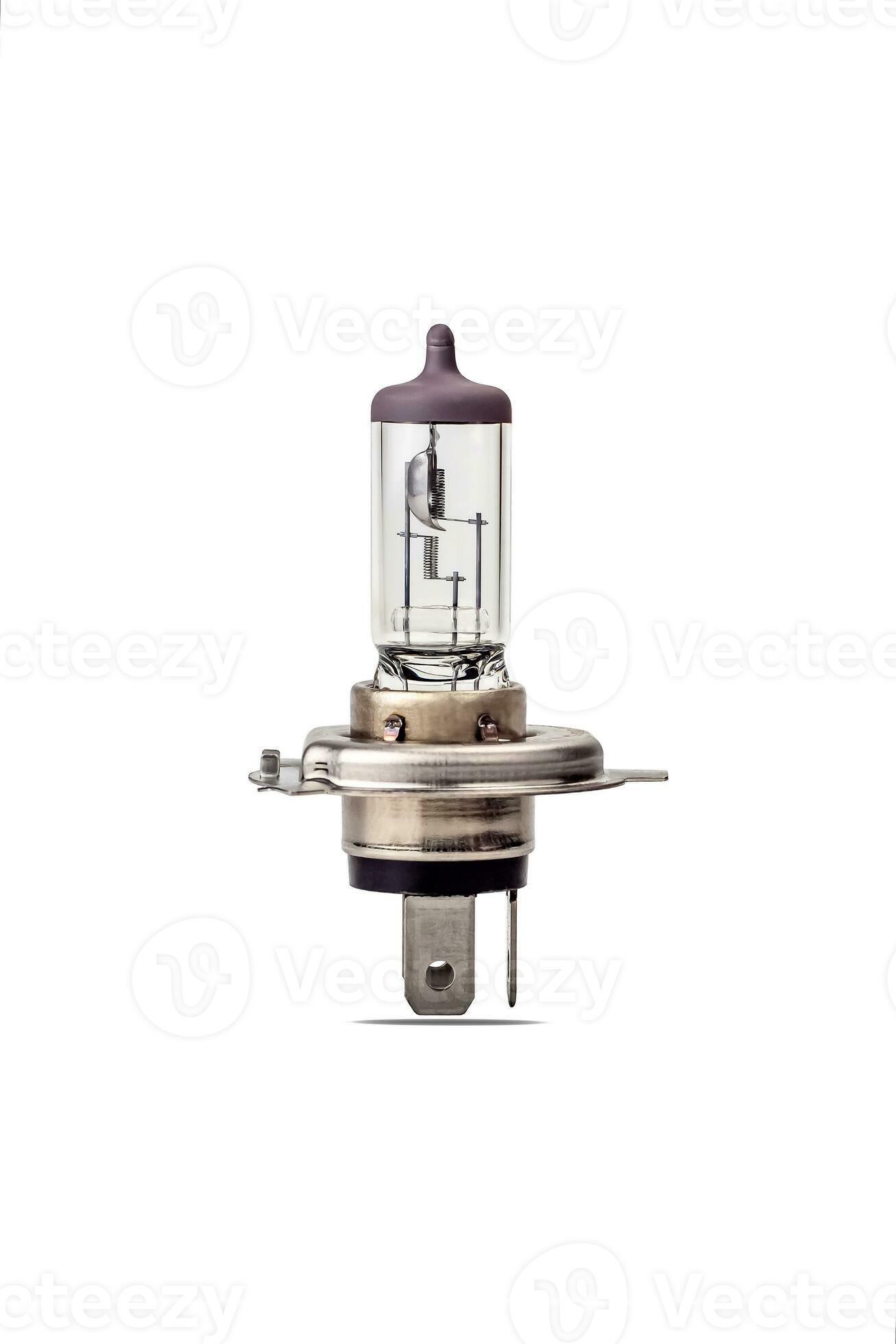 Automotive halogen lamp in neutral color. Car headlight bulb isolated