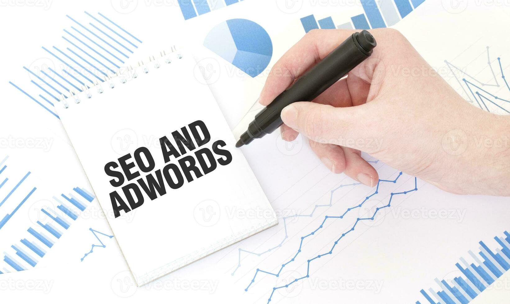 Businessman holding a black marker, notepad with text SEO AND ADWORDS, business concept photo