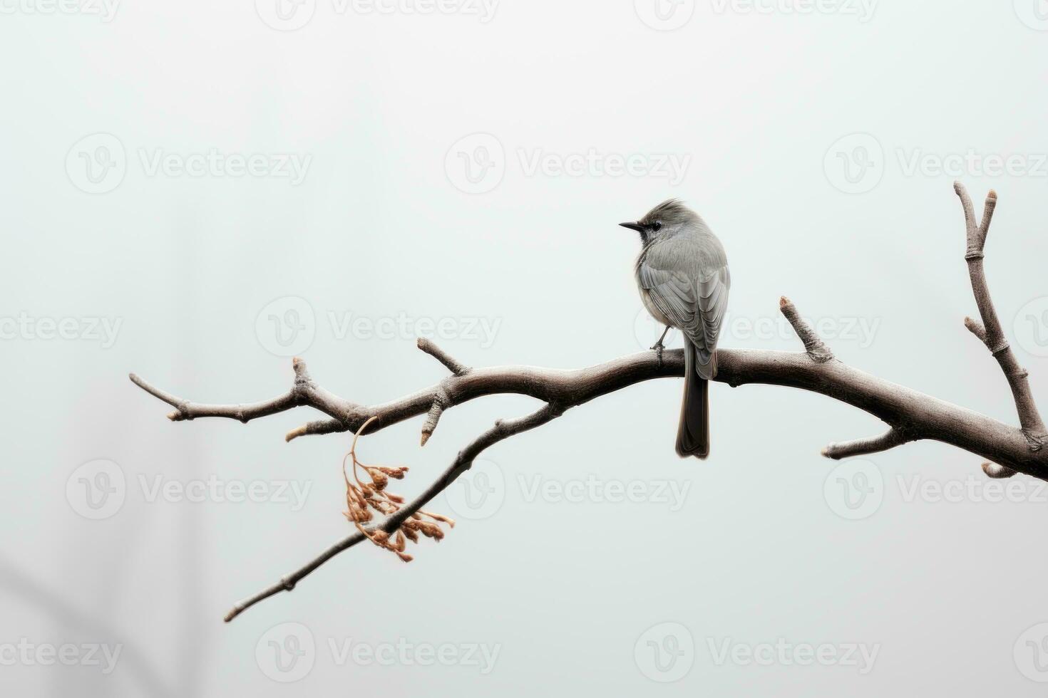 a bird sitting on a branch in front of a foggy background generative ai photo