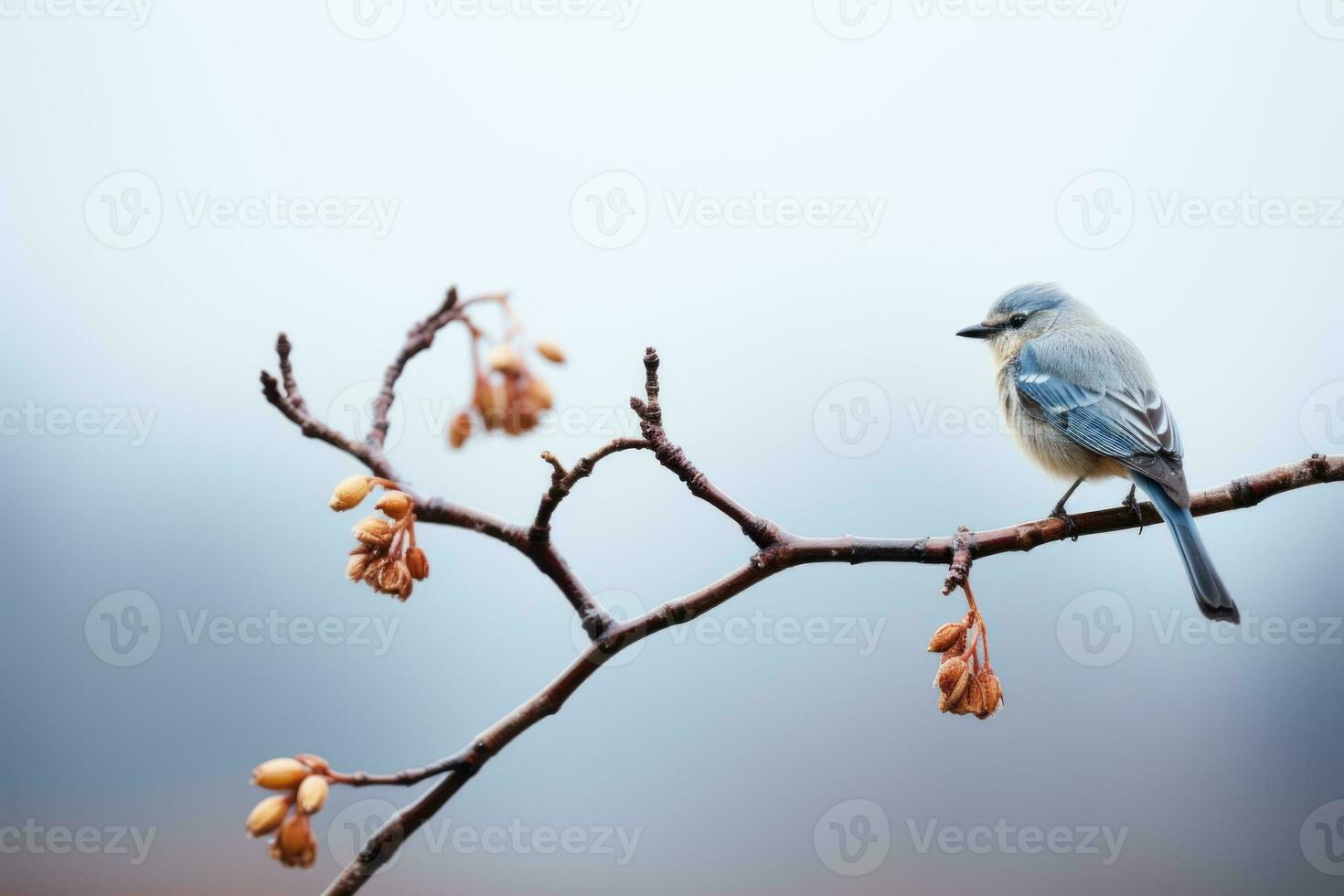 a blue bird is sitting on a branch in front of a foggy background generative ai photo