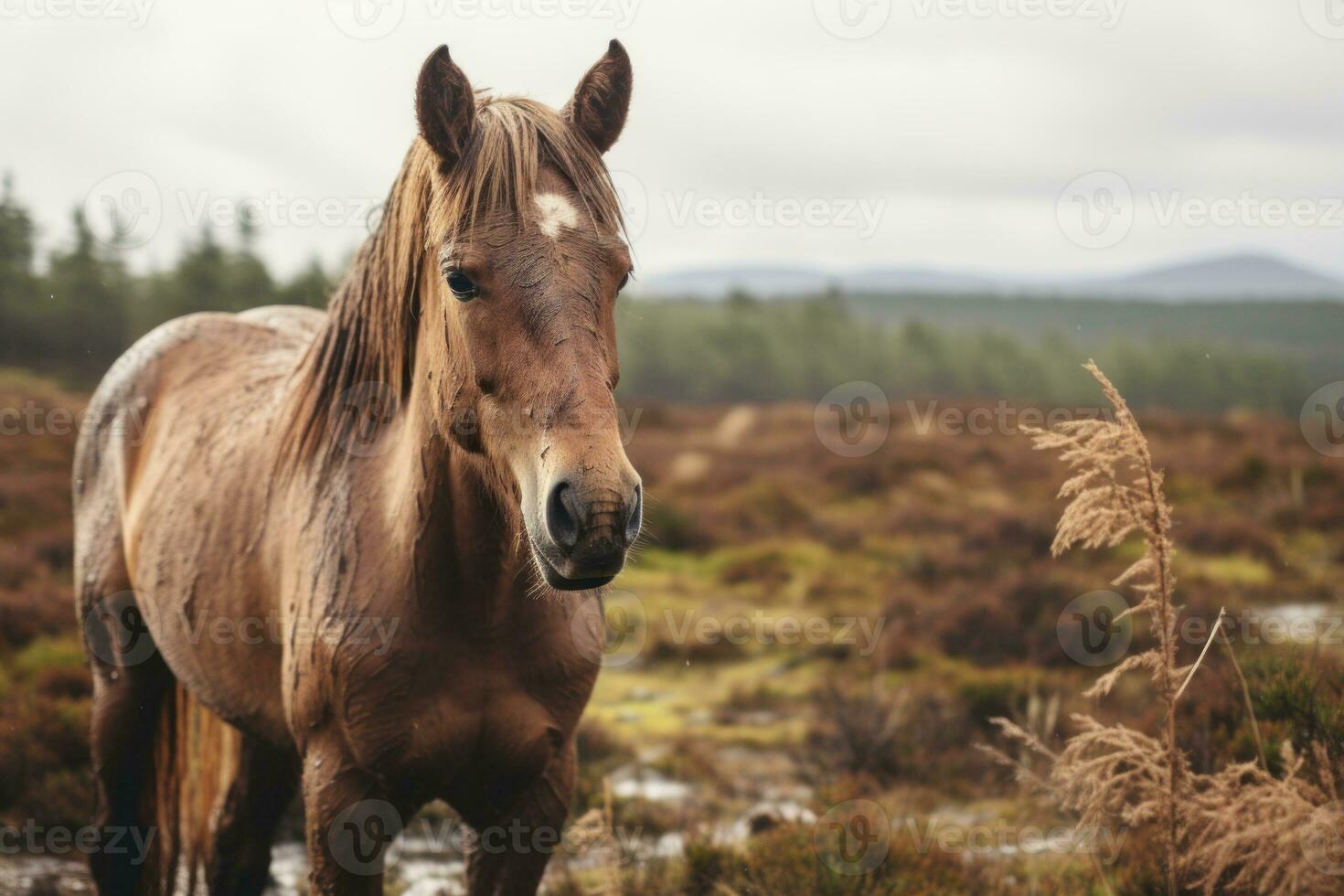 a brown horse standing in the middle of a field generative ai photo
