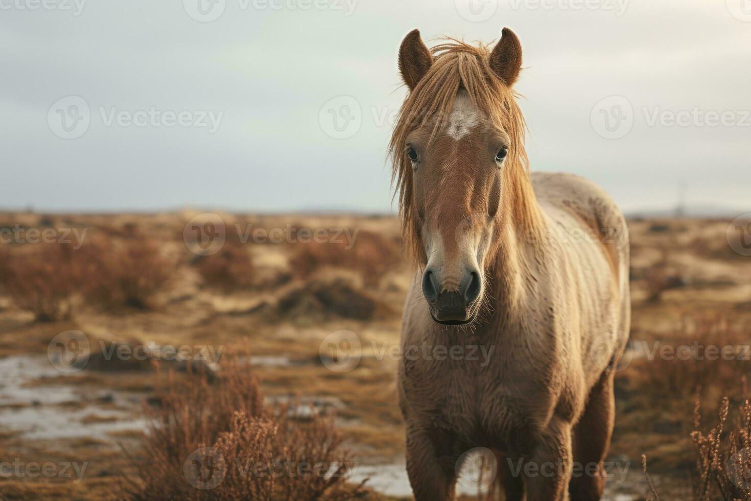 a close up of a horse standing in a field generative ai photo