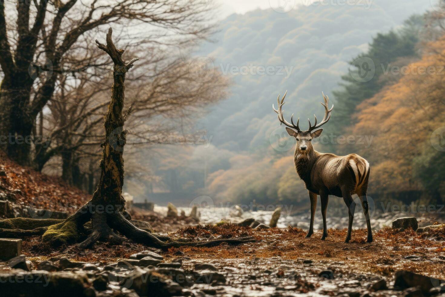 a deer is standing in the middle of a forest generative ai photo