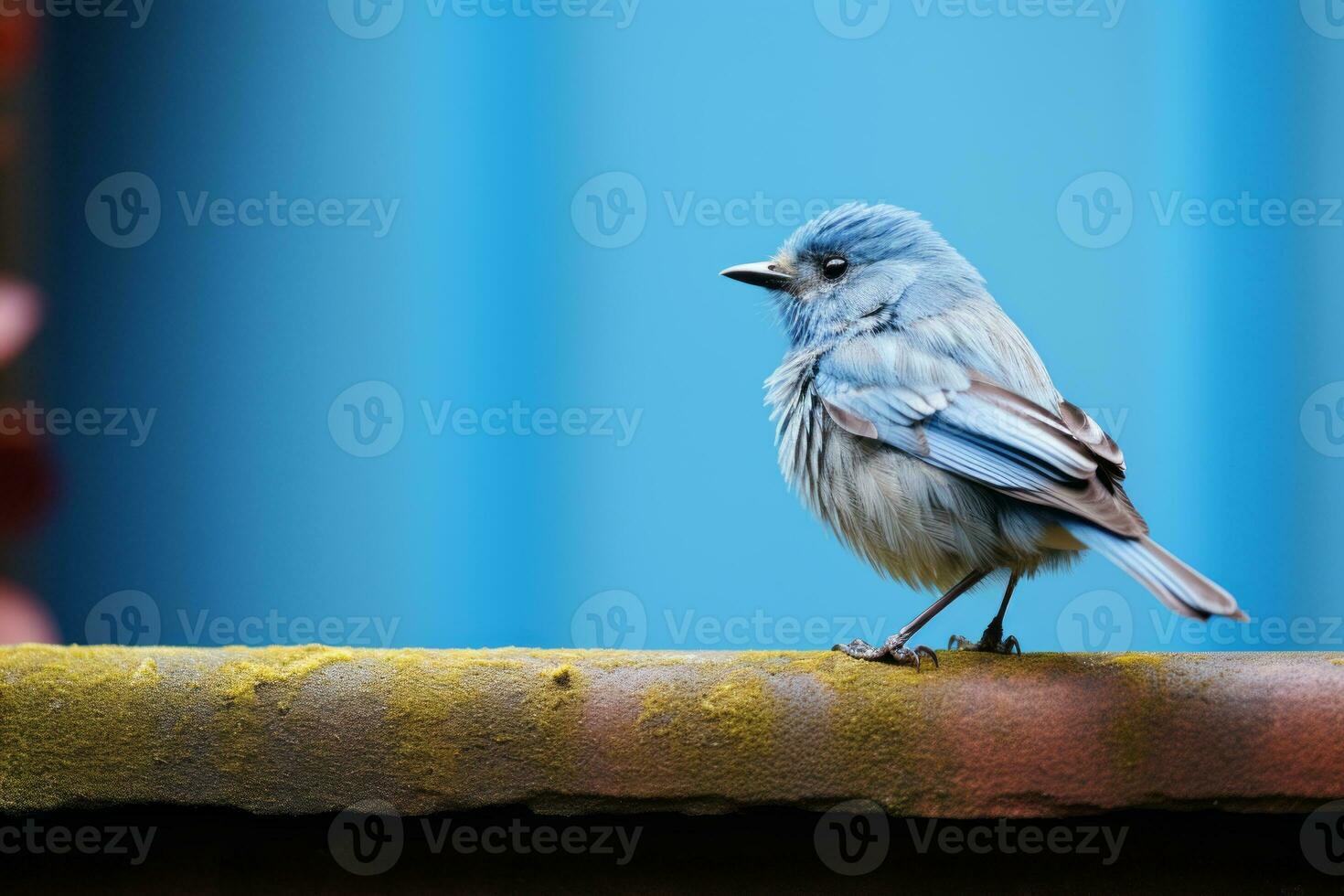 a small blue bird sitting on a ledge generative ai photo