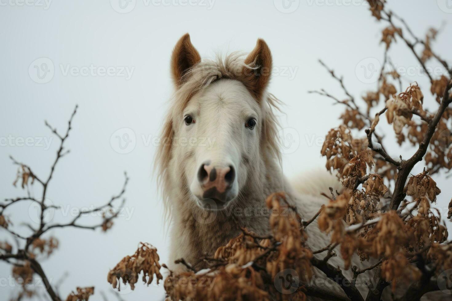 a white horse is looking at the camera in a tree generative ai photo