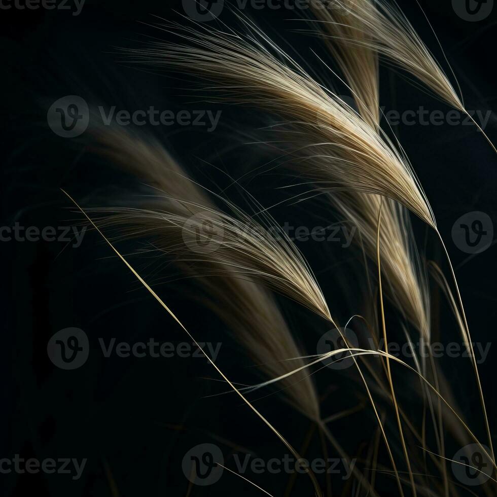 a close up of some grass on a black background generative ai photo