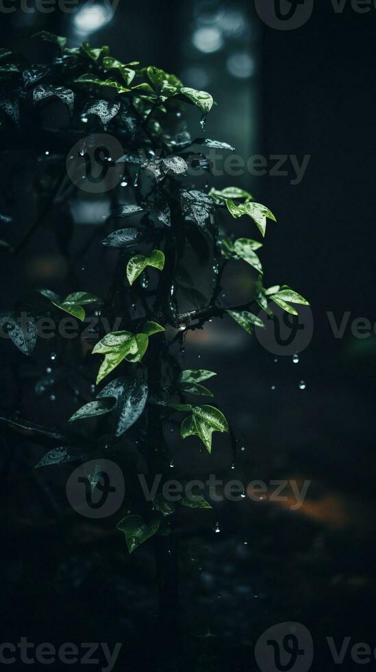 un bonsai árbol en el lluvia con agua gotas en eso generativo ai foto