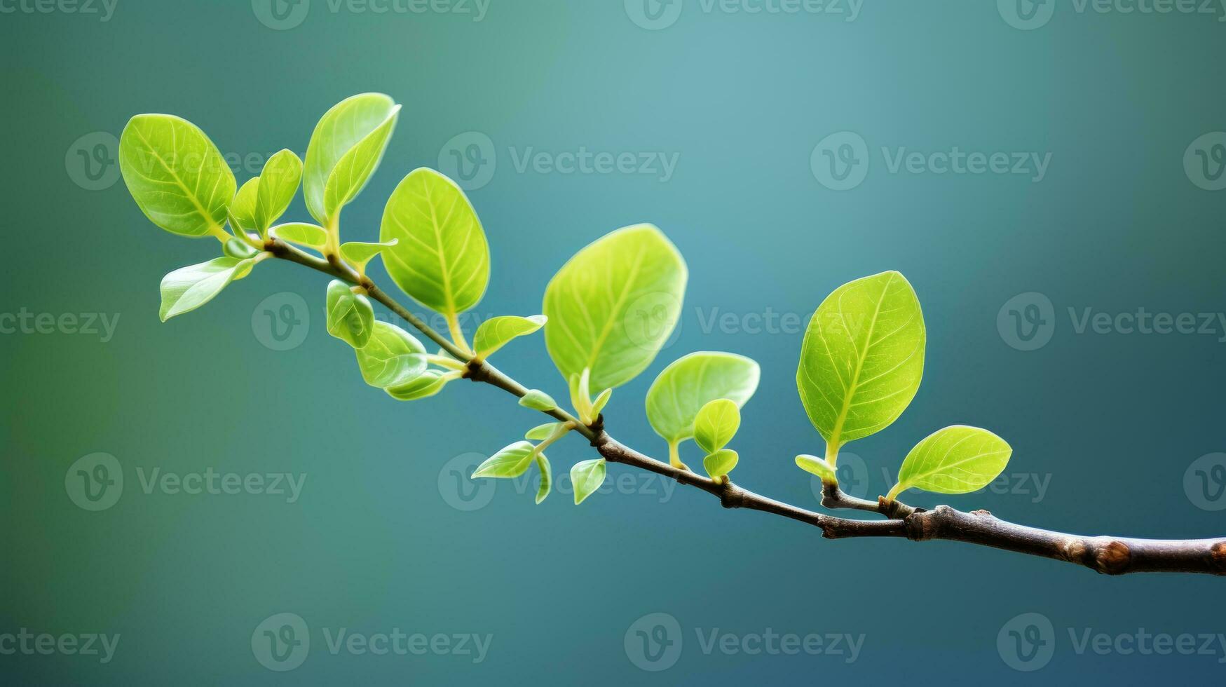 a branch with green leaves on it against a blue background generative ai photo