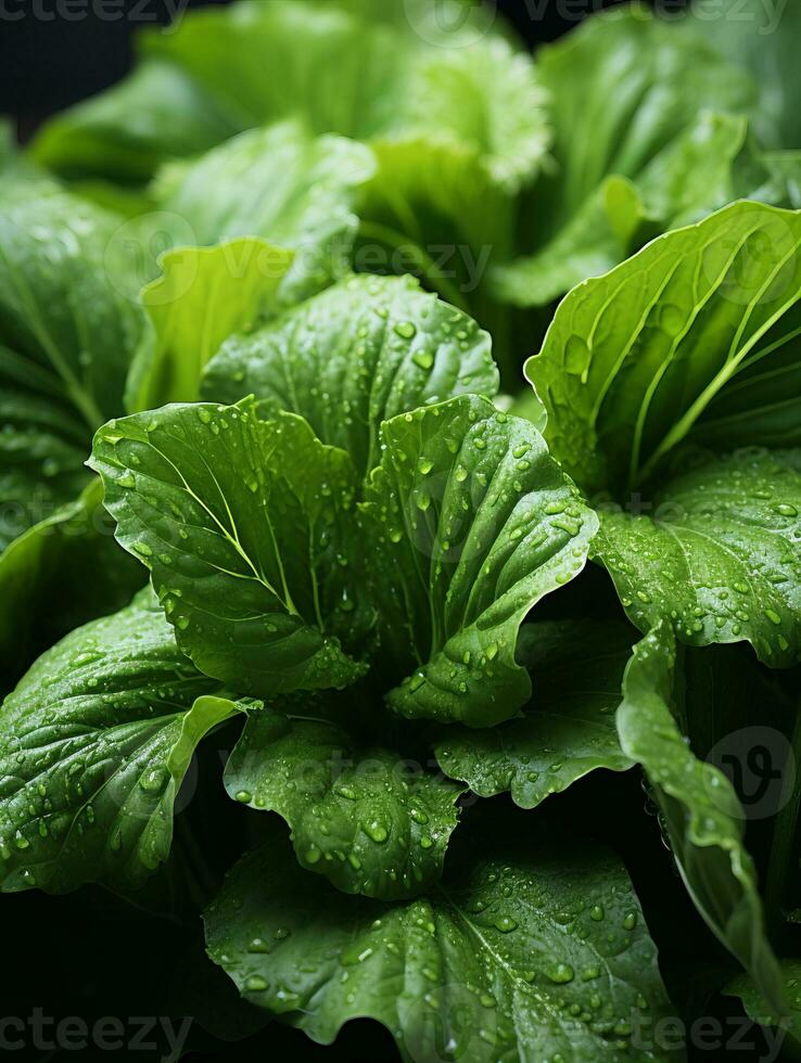 a bunch of green leaves with water droplets on them generative ai photo