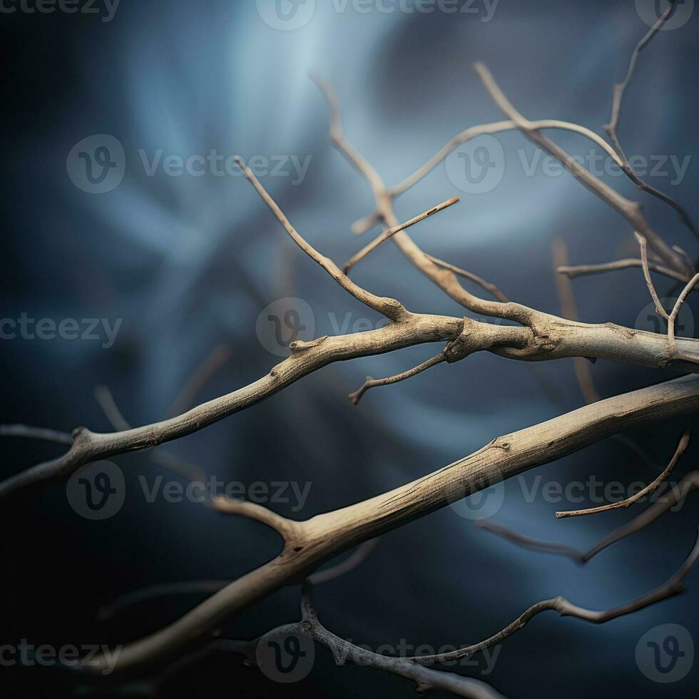 a close up of a branch with no leaves generative ai photo