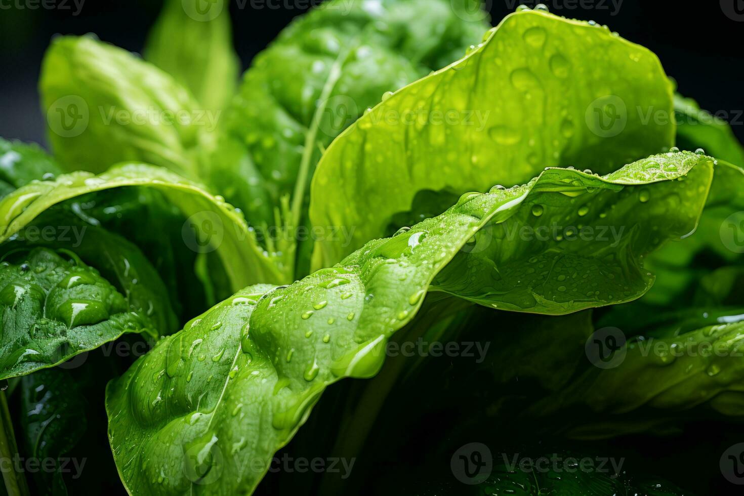 a close up of a green leaf with water droplets on it generative ai photo