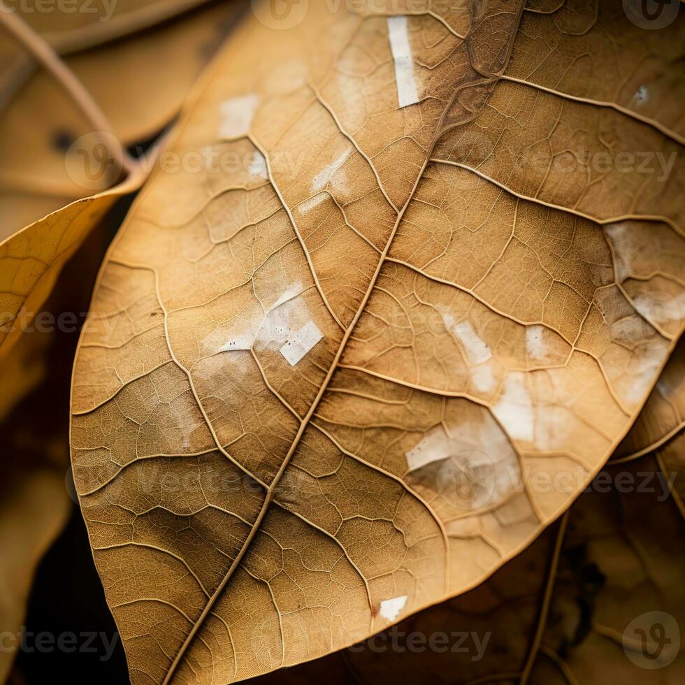 a close up of a leaf with white spots on it generative ai photo