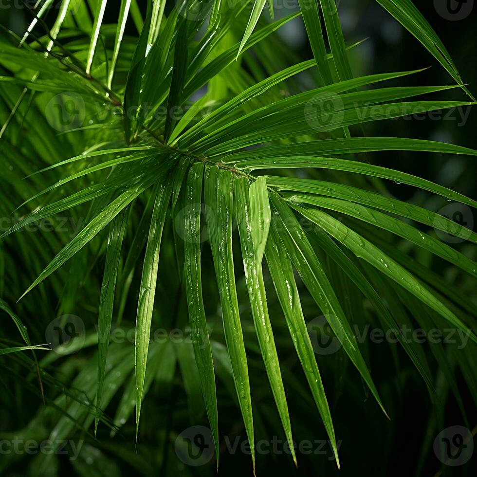 a close up of a palm leaf with water droplets on it generative ai photo