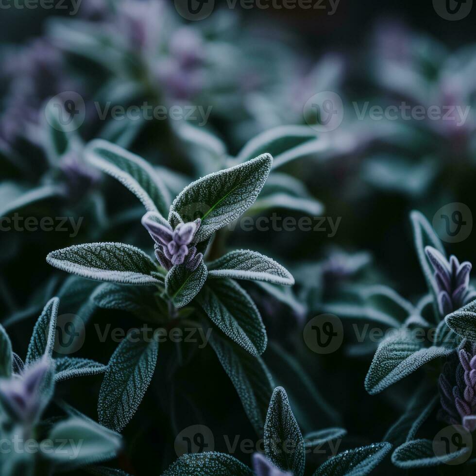 a close up of a plant with purple leaves generative ai photo