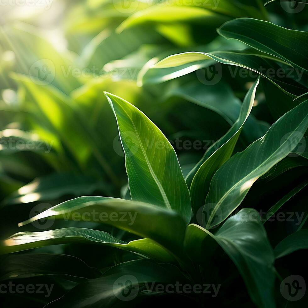 a close up of green leaves in the sunlight generative ai photo