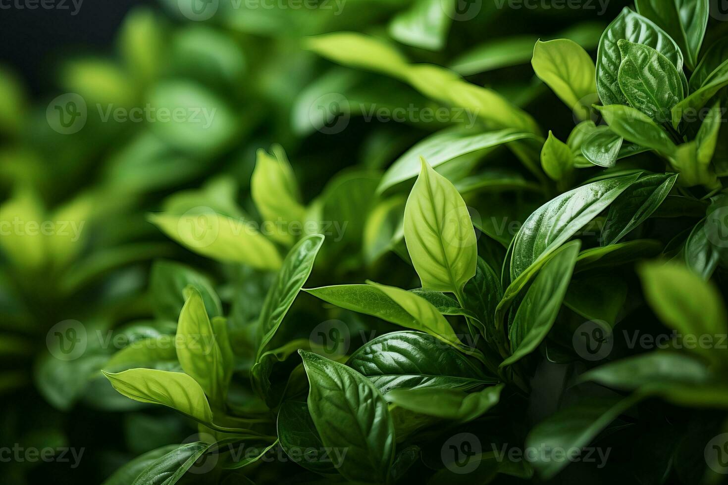 a close up of green leaves on a black background generative ai photo