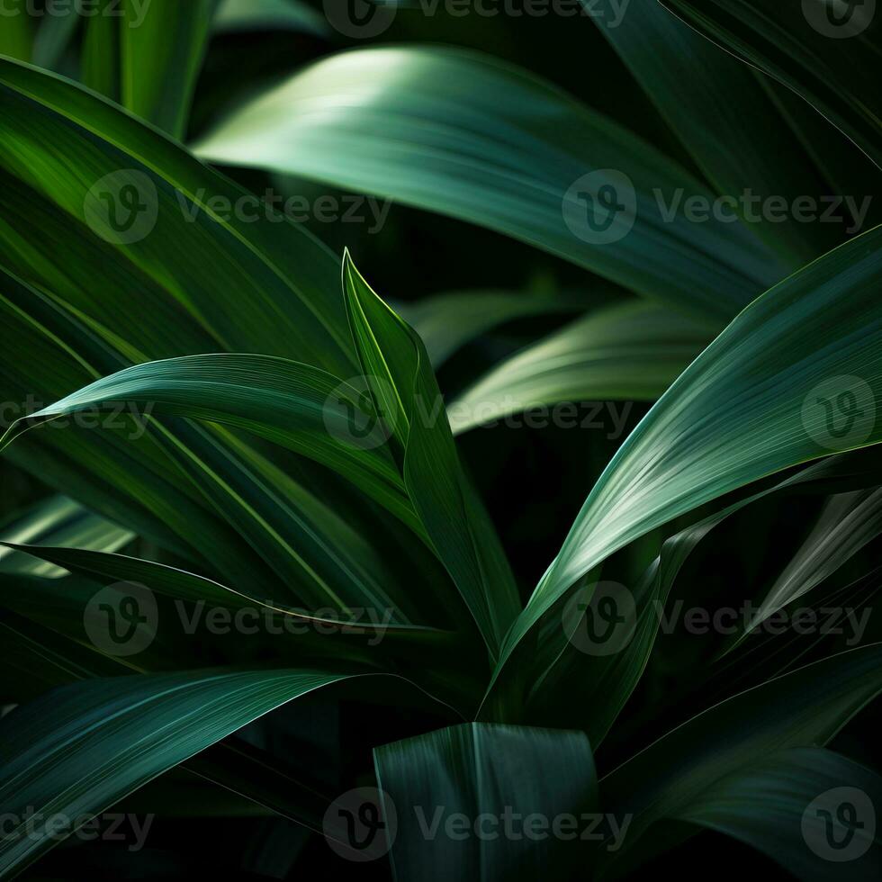 a close up of green leaves on a dark background generative ai photo