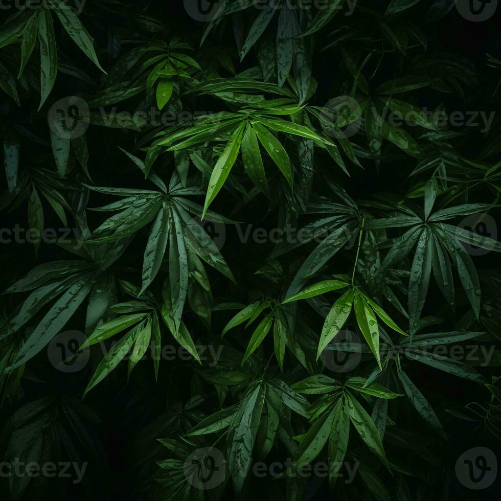 a close up of green leaves on a dark background generative ai photo