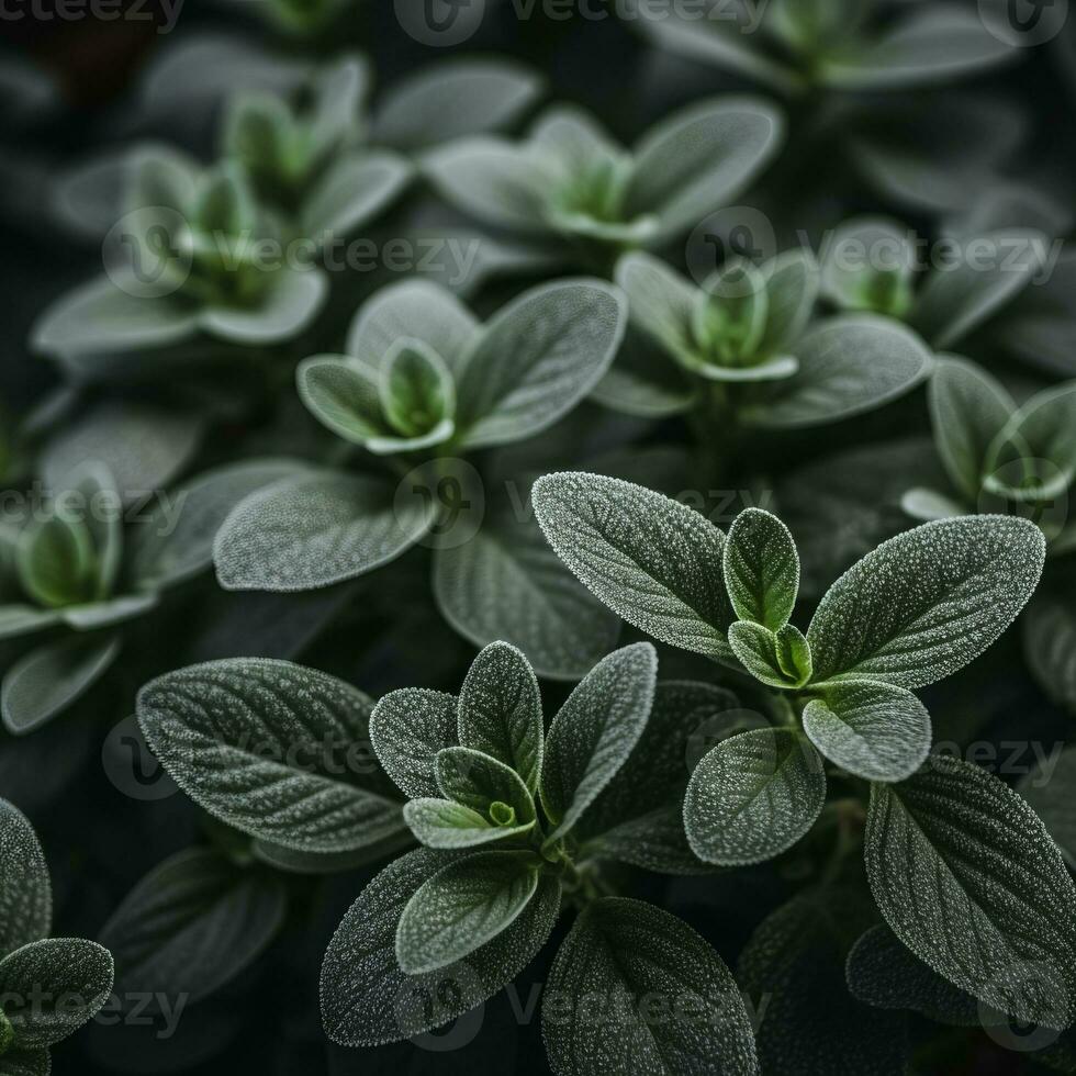 a close up of green leaves on a plant generative ai photo