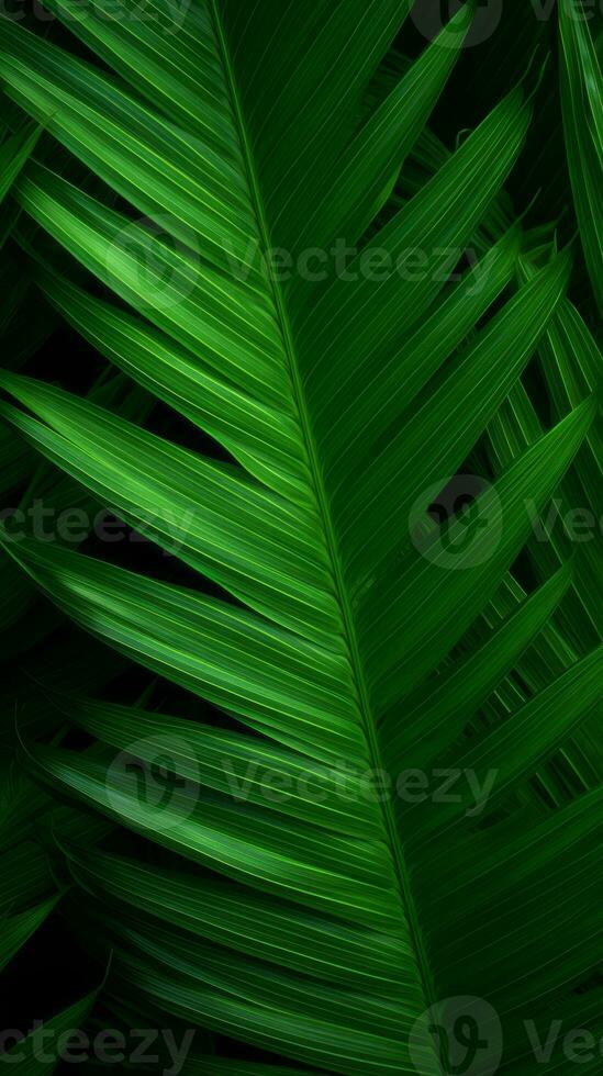 a close up of green palm leaves on a black background generative ai photo